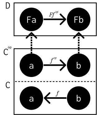 A covariant functor in Cop acting as a contravariant functor in C